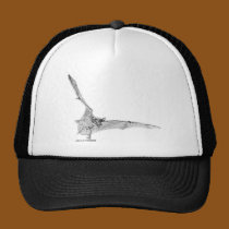 Free Tailed Bat hats