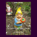 Free the Garden gnomes
