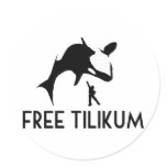 Free Tilikum Save the Orca Killer Whale stickers