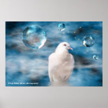 Freebird Poster