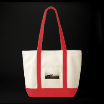 Freedom Bag by SandeElkins Freedom Bag