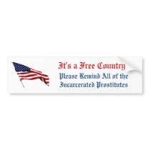 Freedom Bumper Sticker bumper stickers
