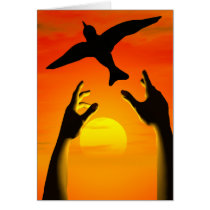 Freedom Card