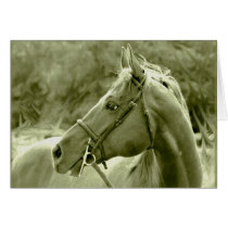 Freedom Cards by SecondChanceRanch Freedom Cards