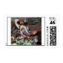 freedom drum call postage