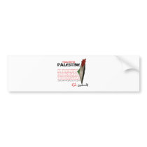 Freedom for Palestine Bumper Stickers