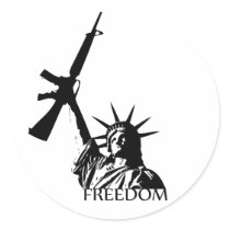 Freedom - Got guns? (Large) stickers