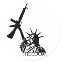 Freedom - Got guns? stickers
