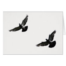 freedom greeting cards