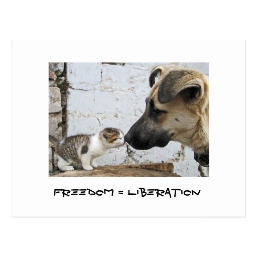 Freedom = Liberation Post Card