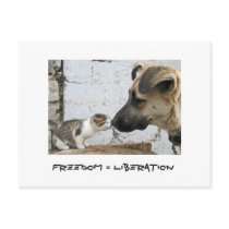 Freedom = Liberation postcards by TheAnimalLiberator Freedom = Liberation postcards