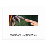 Freedom = Liberation Postcard