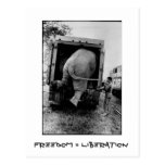 Freedom = Liberation Postcards