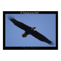 FREEDOM ~ Motivational Poster posters