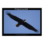 FREEDOM ~ Motivational Poster