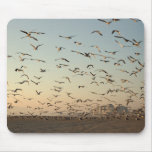 Freedom Mouse Pads