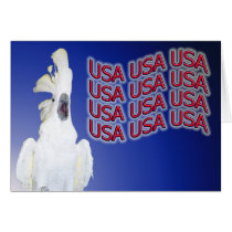 Freedom of Speech Card