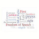 Freedom of Speech! Large Bill of Rights Poster posters