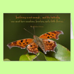 Freedom of the Butterfly cards