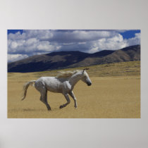 Freedom On The Run posters