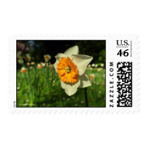 Freedom postage by Rainmountain Freedom postage