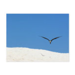 Freedom Post Cards