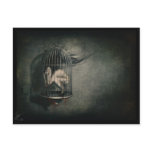 'Freedom' Postcards