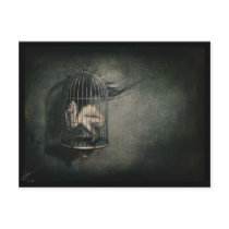 'Freedom' Postcards