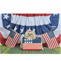 Freedom Puppy Photo Sculptures