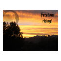 Freedom Rising Poster posters