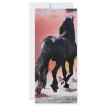 Freedom Runner rack cards by laureenr Freedom Runner rack cards