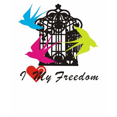Freedom Shirt by oneover1