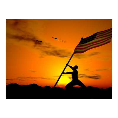 Freedom Still Flies Print by woohoo76