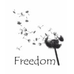 freedom tee shirt