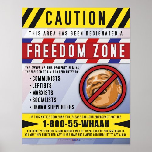 Freedom Zone Poster print