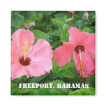 magnet, freeport, bahamas, hibiscus, flowers,