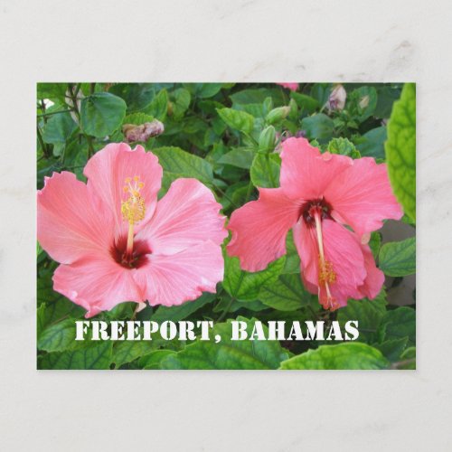 Freeport, Bahamas Postcard postcard