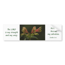 Freesia Blossoms Bumper Stickers