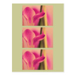 Freesia Blossoms, template Invitation Save Date Po Postcard