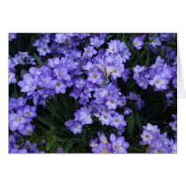 Freesia cards