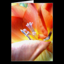 Freesia | cards by celtxian Freesia | cards