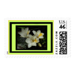 Freesias Postage