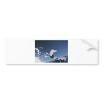 Freestyle bumper stickers