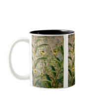 Freestyle Garden mugs