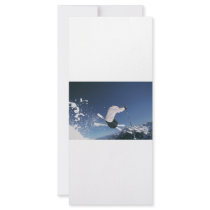Freestyle rack cards