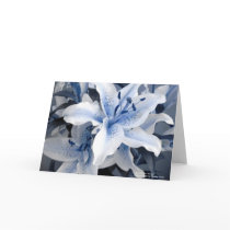Freeze From Blue Series cards
