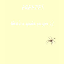 FREEZE!there's a spider on you ;) t-shirts