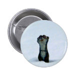 Freezing Weasel Pins