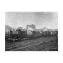 Freight Trains Scranton Pa. Postcard