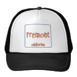 Fremont California BlueBox Mesh Hats